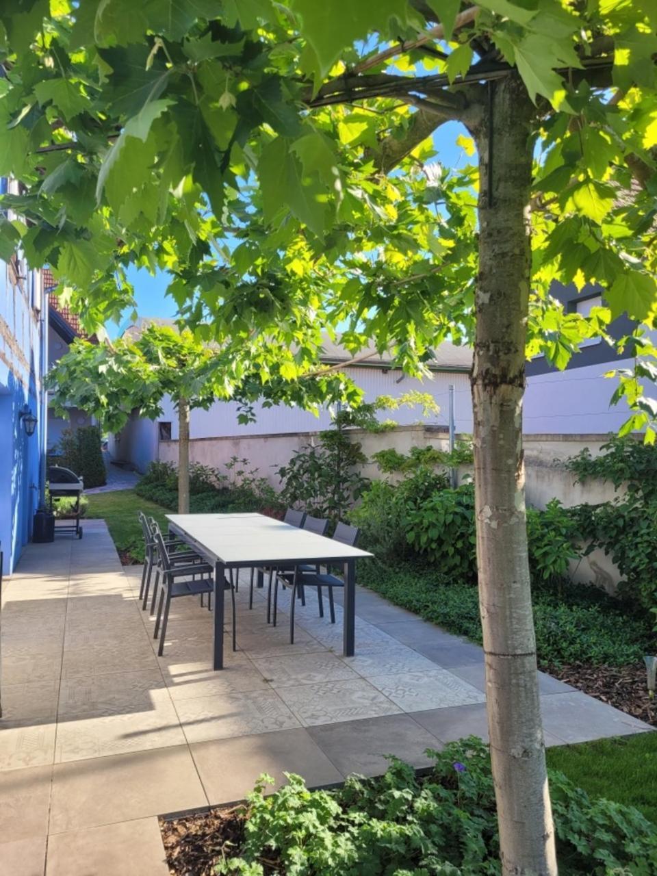 Le Clos Des Jardiniers Gottri Gerstheim Esterno foto